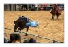 Rodeo Kln 280707 066s.jpg