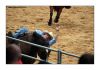 Rodeo Kln 280707 067s.jpg